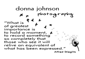 Donna Johnson Photography